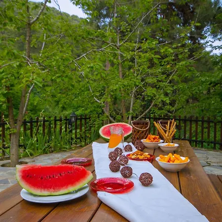 Amazing In Pano Platres Cyprus