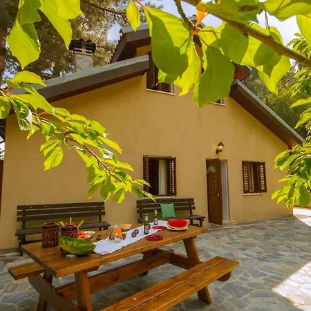 Amazing In Pano Platres Cyprus فيلة