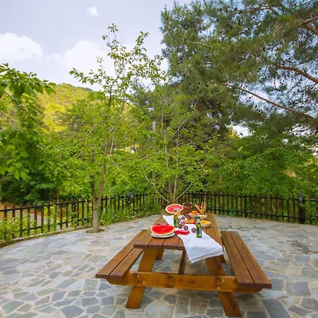 Amazing In Pano Platres Cyprus Villa Káto Plátresz