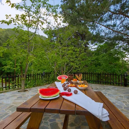 Amazing In Pano Platres Cyprus