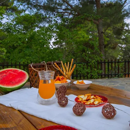 Amazing In Pano Platres Cyprus *