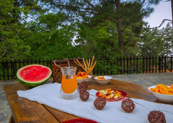 Amazing In Pano Platres Cyprus *